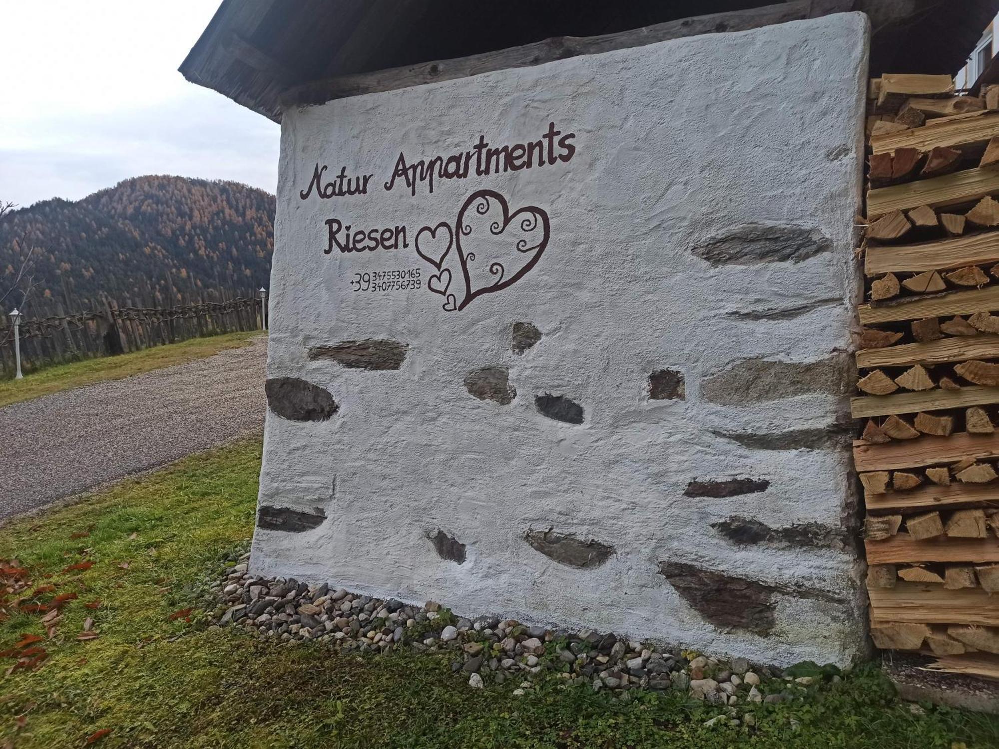 Natur Appartments Riesen San Lorenzo di Sebato Bagian luar foto